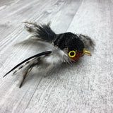 Pretty fly - Bird