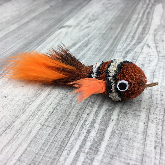 Pretty fly - Clownfish – catboutiquenet