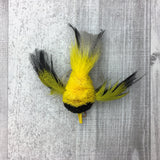 Pretty fly - Bird