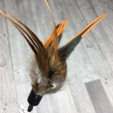 Fur & Feathers Cat Teaser Toy