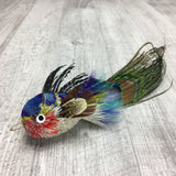 Pretty fly - Fish