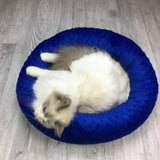 Blue & cream minky bed