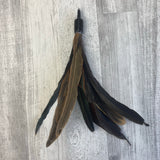 Rooster feather attachment