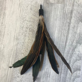 Rooster feather attachment