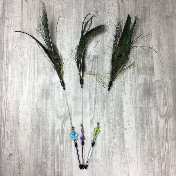 Peacock Catcher