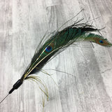 Peacock Catcher