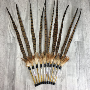 Pheasant Feather Cat Teaser Toy
